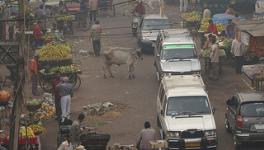 Air Pollution in Delhi