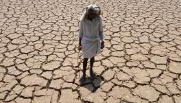 “Loan Waivers are a Tool, They are Not a Transformation”: P. Sainath