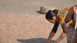 fisherwomen