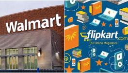  Flipkart & Walmart