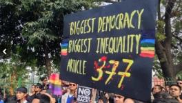 Section 377 debate