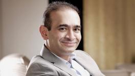 nirav modi