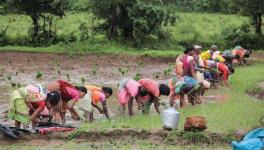 agricultural workers