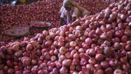 Elections 2019: Tears of Onion Farmers to Affect BJP Bastion in North Maharashtra