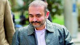 UK Court Asks India to Confirm Prison Cell for Nirav Modi in 14 Days