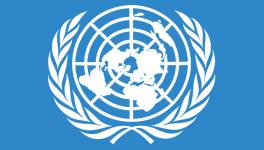 United Nation