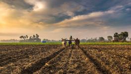 Decoding FM’s agri stimulus