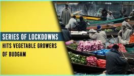 Budgam Vegetable Growers