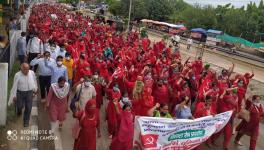 ASHA workers haryana