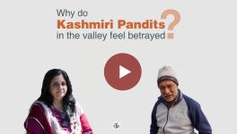 Here’s Why Non-migrant Kashmiri Pandits Feel Betrayed