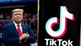 TikTok: Trump Helps Microsoft