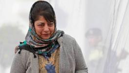 Militancy in Kashmir has Increased Under BJP Rule, Says Mehbooba Mufti