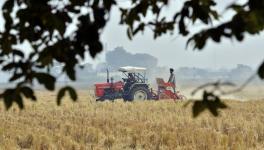 Contract Farming in India