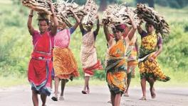 chattisgarh tribal women.