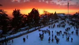 shimla delhi.