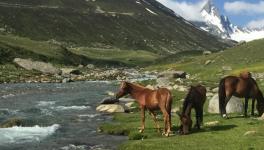 Shali Ganga river around Ashtar valley Pir Panjaal mountain range. Picture Courtesy: Raja Muzaffar Bhat