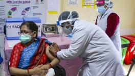 COVID-19: 180 Deaths in India After Vaccine Till March, Doubts Remain over Data