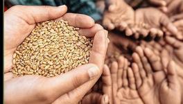 Right to Food Campaign Condemns Foodgrain Exports, Demands Universalisation of PDS Amid COVID-19 Surge