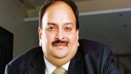 Mehul choksi