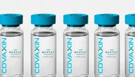 Final Analysis of Covaxin Efficacy Out; Vaccine 65.2% Effective Against Delta Variant