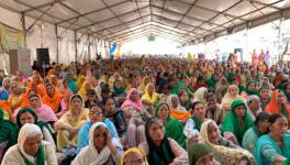 women farmers