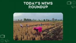 News Round up