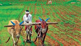 Tamil Nadu State and Agri Budgets ‘Not Satisfying’