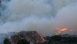 The burning dumpyard in Perungudi, Chennai. Image courtesy: BusinessLine