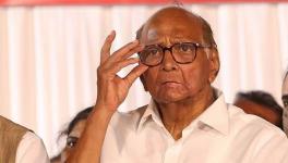 ‘Speech within the ambit of the Constitution not anti-national’: Sharad Pawar tells Bhima Koregaon probe panel