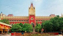 Kolkata HC Orders CBI Probe Into Recruitment of Primary Teachers