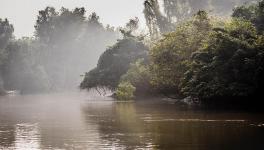 Odisha: Discarded Boat Turns Into Library for Children in Bhitarkanika National Forest