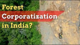 ‘India’s New Forest Conservation Rules Facilitate Takeover of Forest Lands by Corporates’