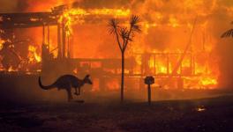 A kangaroo rushes past a burning house in Lake Conjola, Australia