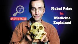 Svante Pääbo’s Medicine 'or' Physiology Nobel and the Lineages of Humanity