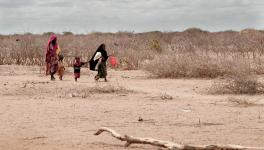 Drought situation in East Africa