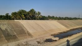 The visible patch of the broken canal at Bidra which as of now, lies without water