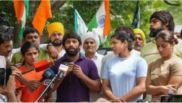 Delhi Police Took 7 Days for FIR Against Brij Bhushan, 7 Hours to Book us: Vinesh Phogat