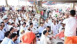 The Bishnoi Tiger Force leads protests against the cutting of khejri trees