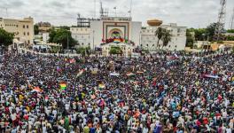 Mass demonstrations in support of the coup have been held in Niamey, Niger's capital.