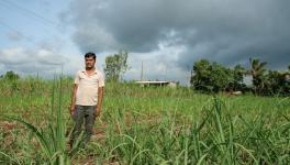 Nivrutti Koli, age 34 stands in his field and states that he has less land holding and requires less water to irrigate his entire field (Photo - Abhijeet Gurjar, 101Reporters).