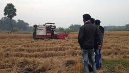 Bengal: Paddy Farmers Being Forced to ‘Surrender’ to Middlemen in Bankura District