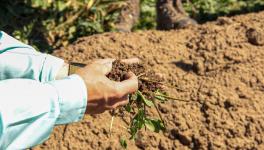 How one North Dakota farmer saved his farm and livelihood using carbon-friendly farming methods.