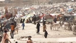 Sudanese refugee camp in Chad, May 16, 2023. Photo: Henry Wilkins-VOA / Wikimedia Commons