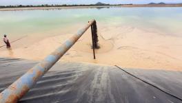 Ash slurry dumped in Tilia's ash ponds (Photo - Krishnanshu Panda, 101Reporters)