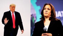 kamala trump