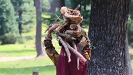 A woman carrying firewood from the forest (Photo - Khursheed Ahmad Shah, 101Reporters)