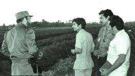 fidel