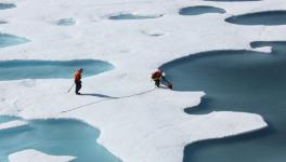 Melt Ponds on the Ocean.jpg