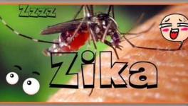 zika.jpg