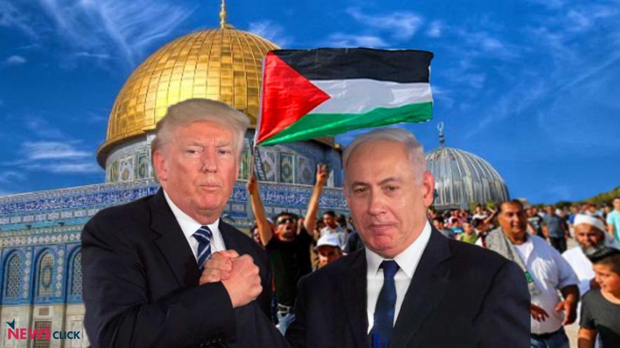 Trump Palestine